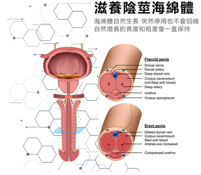 1747470401745950.png 1746356239992333.png